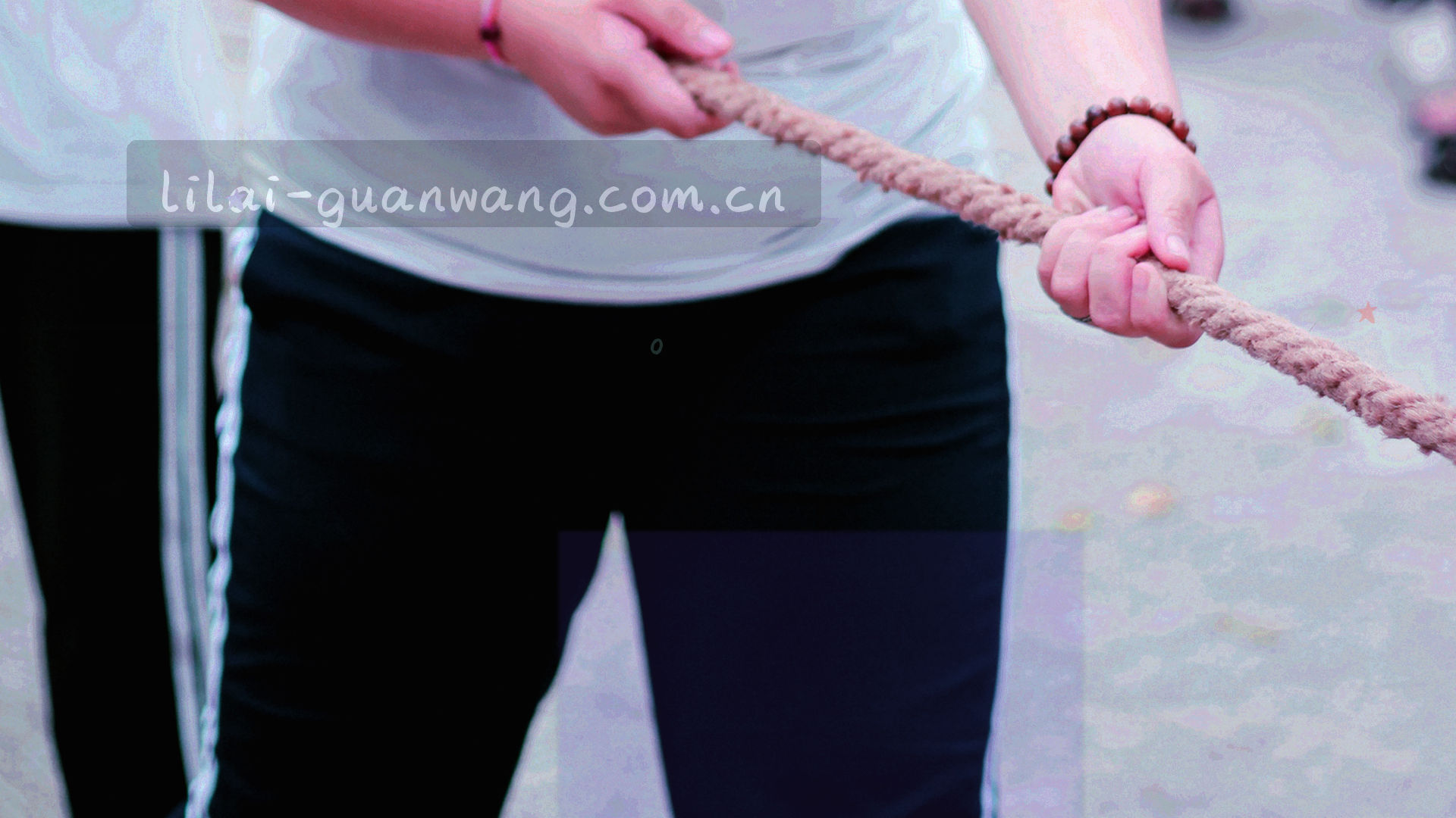 抽象数据流与草原纹理交织的背景，象征隐私保护的秩序感